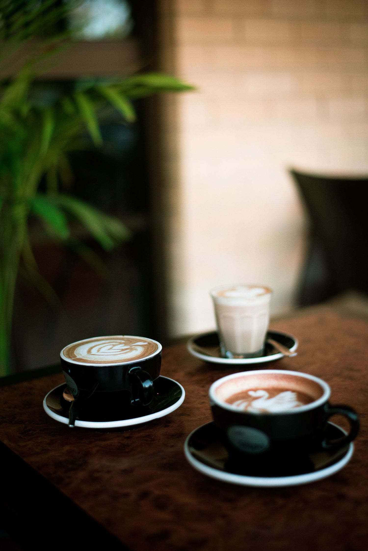 Coffee, Hospitality, latte art, cafe, business branding
© 2025 Jenna Hennessy / The Tone Curve