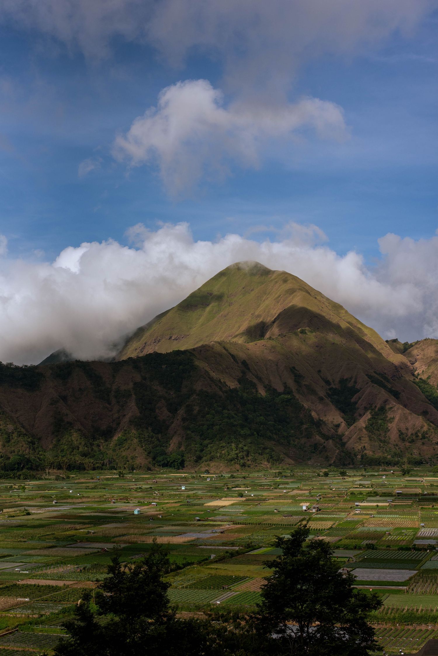 Lombok, Indonesia. The Tone Curve copyright