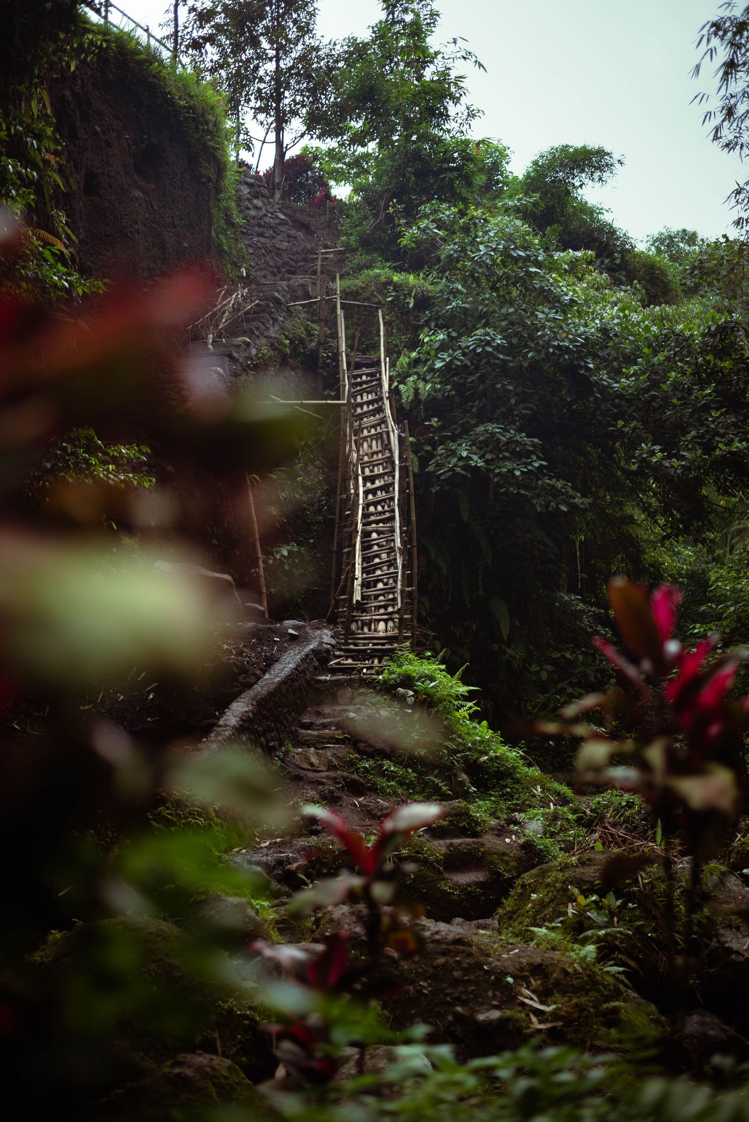 Lombok, Indonesia. The Tone Curve copyright