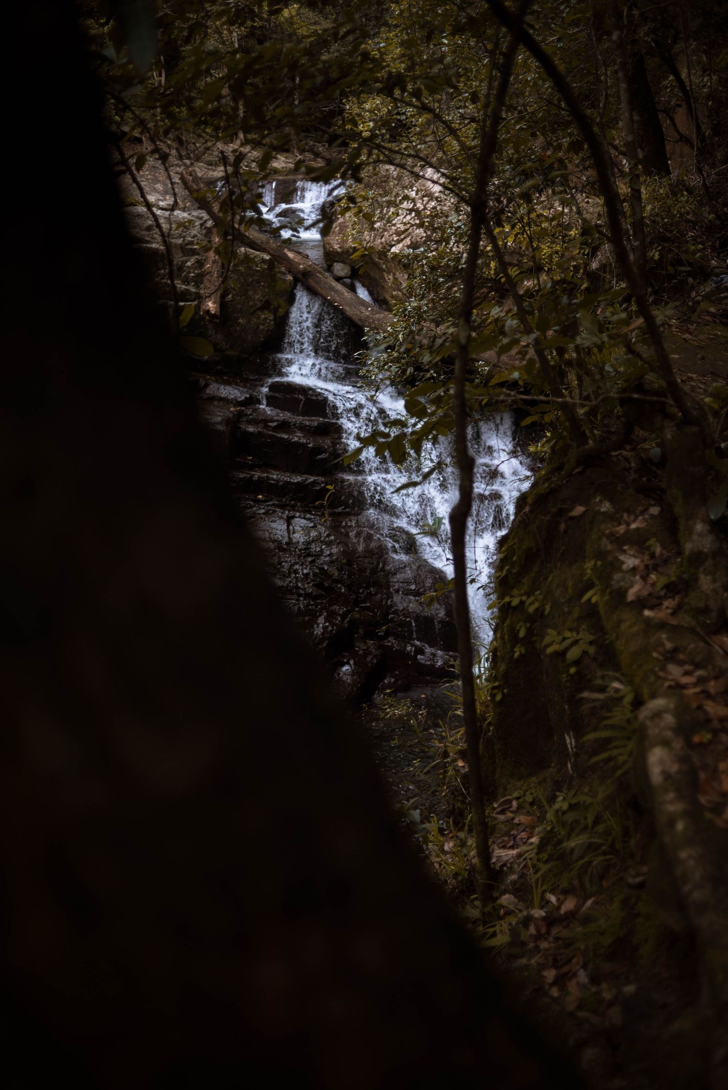 Stoney Creek Falls, Cairns © 2023 Jenna Hennessy / The Tone Curve