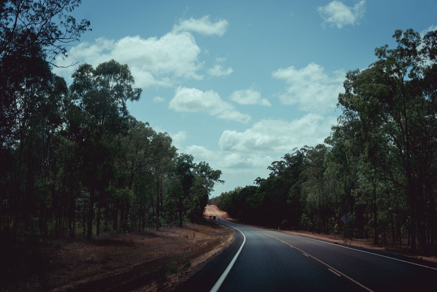Road to the Cape, QLD:- 2023
Travel photography, Australia
© 2023 Jenna Hennessy / The Tone Curve