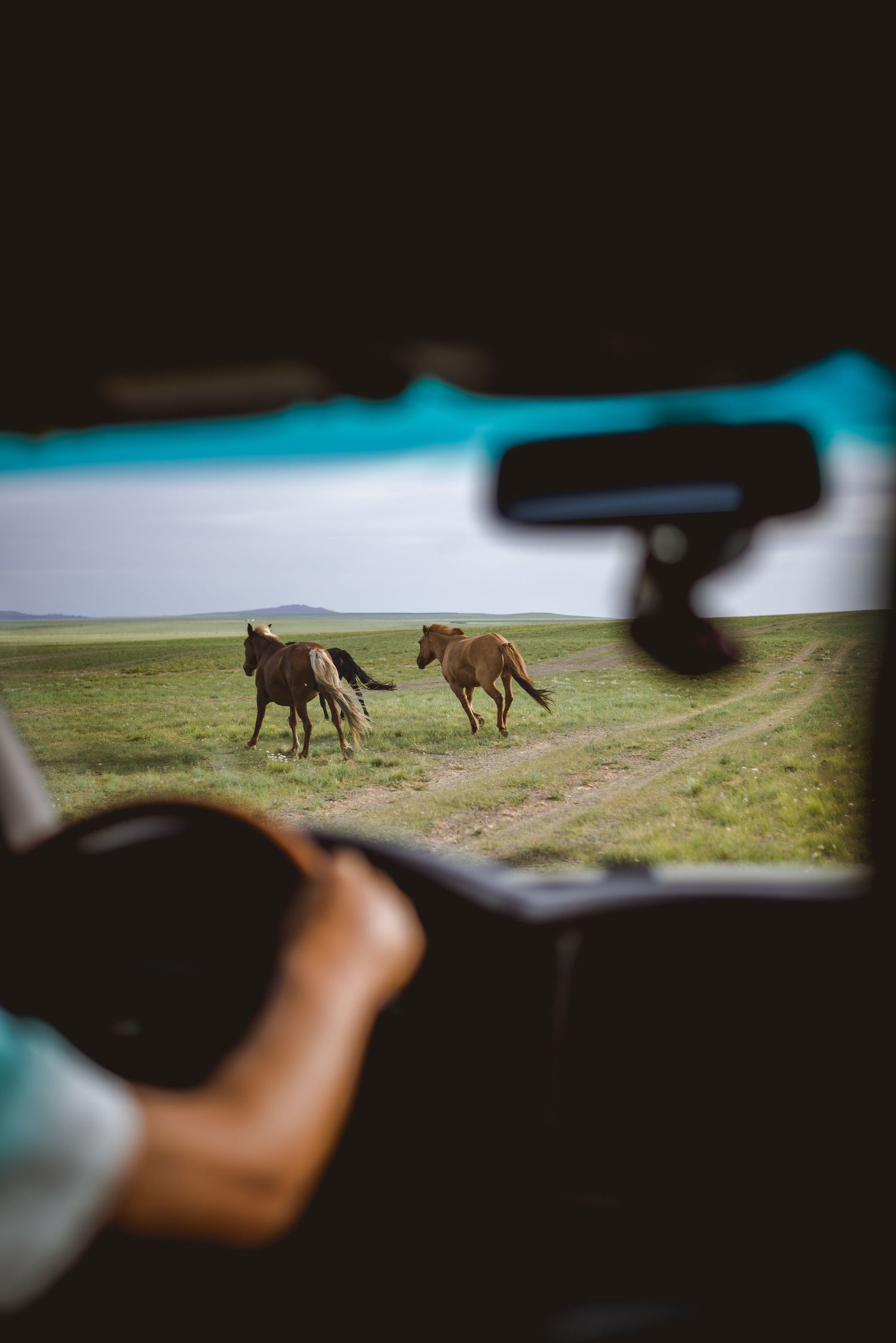 Horses, Mongolia:- 2024

Travel photography
© 2024 Jenna Hennessy / The Tone Curve