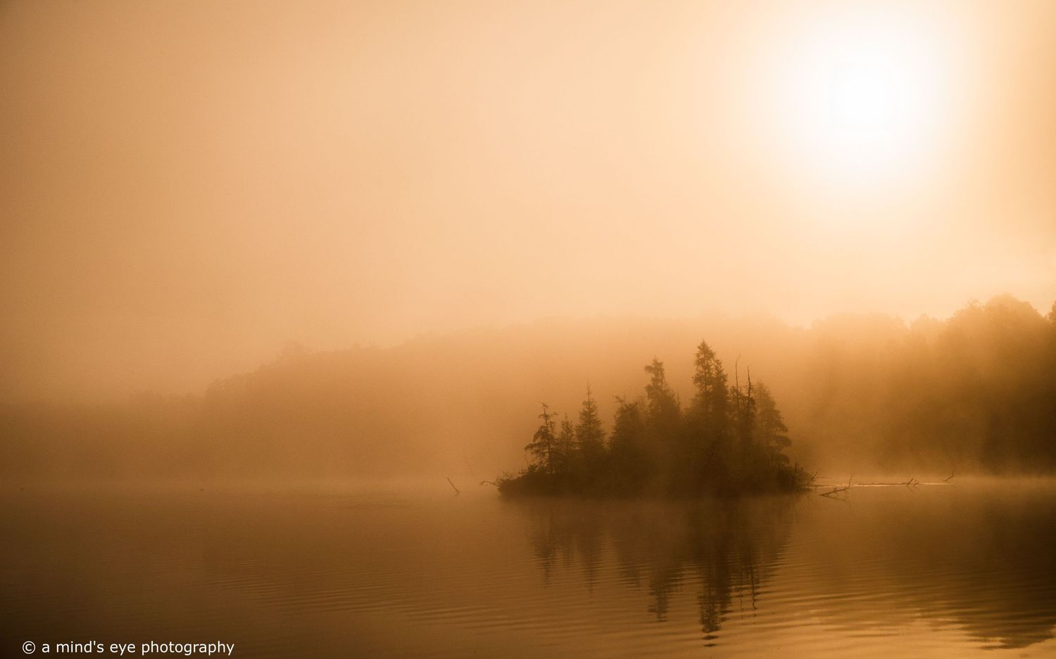 lake, morning, mist, sunrise, trees, landscape, cottage, fog, colour photography, water, image