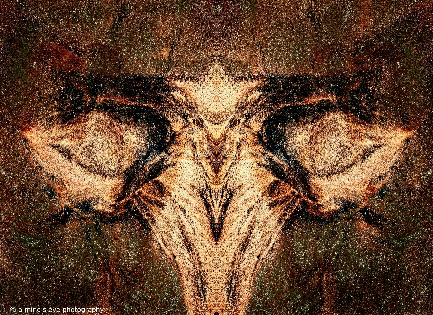 colour, photo, photography, abstract, symmetrical, symmetry, shapes, graphic, graphical image, strange, different, creative