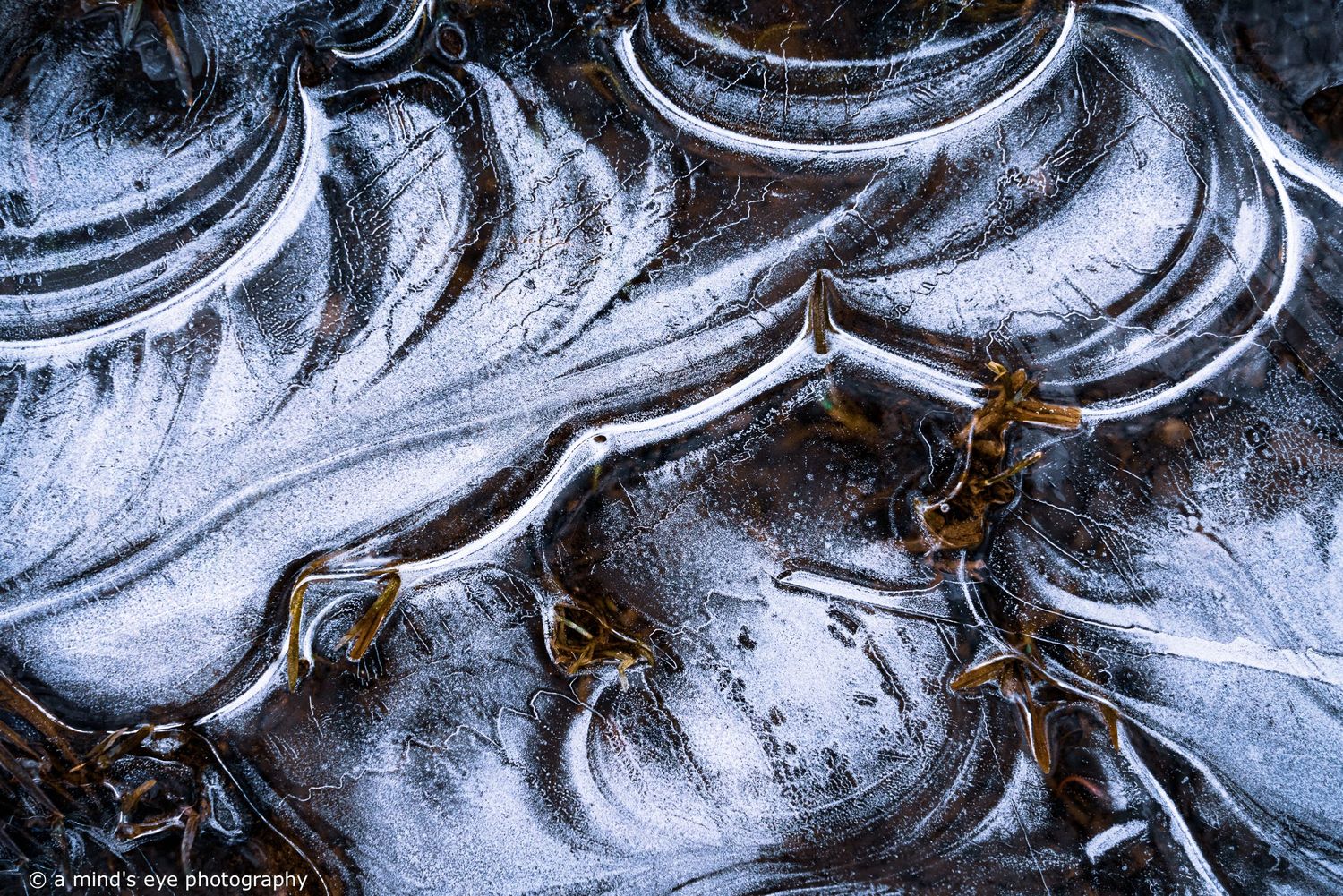 colour photo, frozen water, ice, trapped air, nature, abstract image, graphical photograph, winter