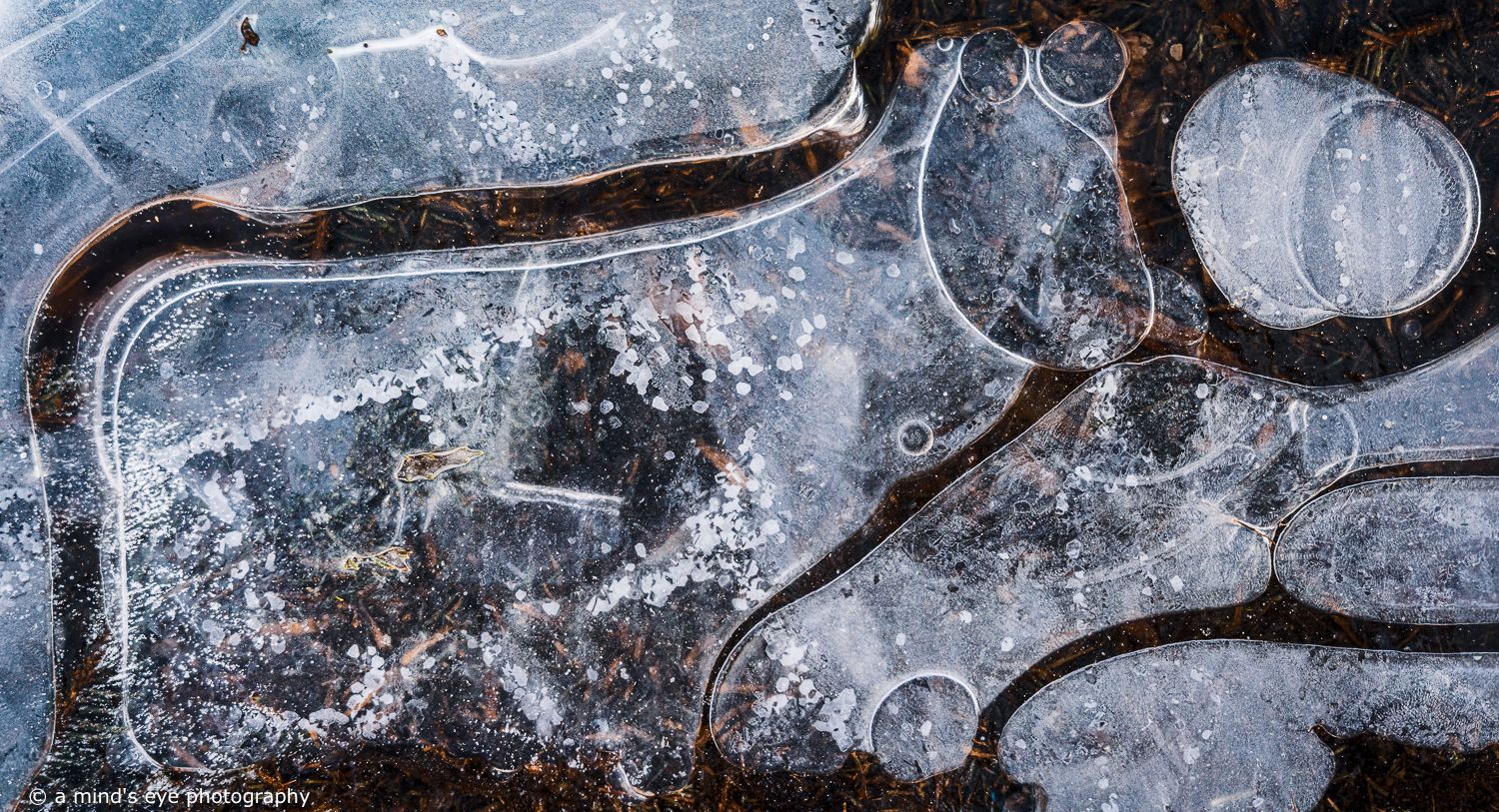 colour photo, frozen water, ice, trapped air, nature, abstract image, graphical photograph, winter