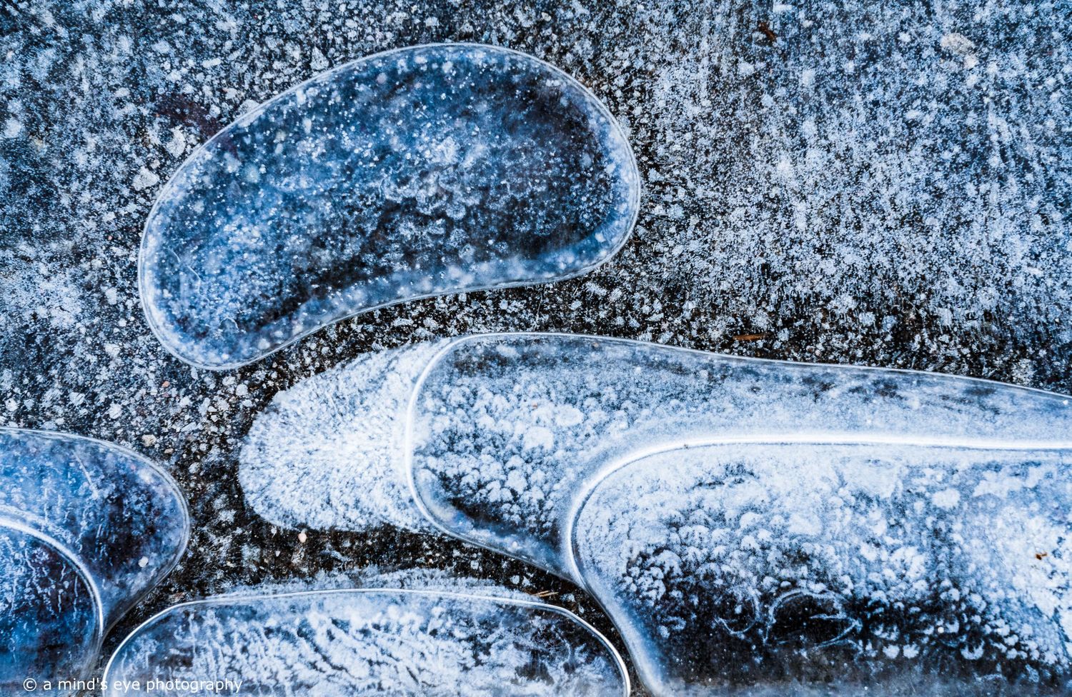 colour photo, frozen water, ice, trapped air, nature, abstract image, graphical photograph, winter
