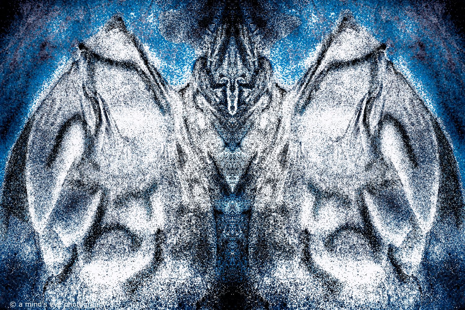colour, photo, photography, abstract, symmetrical, symmetry, shapes, graphic, graphical image, strange, different, creative