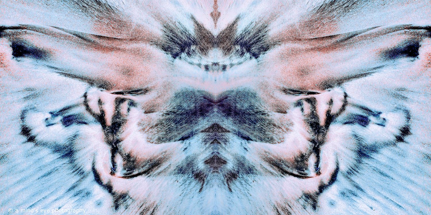 colour, photo, photography, abstract, symmetrical, symmetry, shapes, graphic, graphical image, strange, different, creative