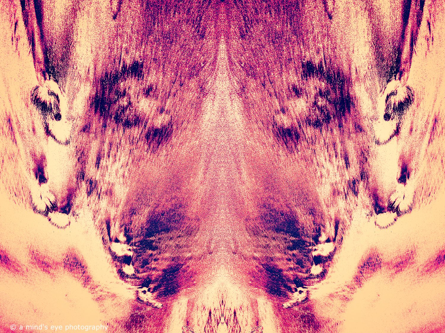 colour, photo, photography, abstract, symmetrical, symmetry, shapes, graphic, graphical image, strange, different, creative