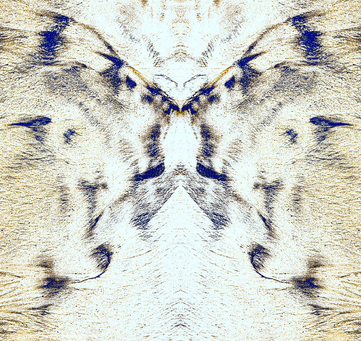 colour, photo, photography, abstract, symmetrical, symmetry, shapes, graphic, graphical image, strange, different, creative