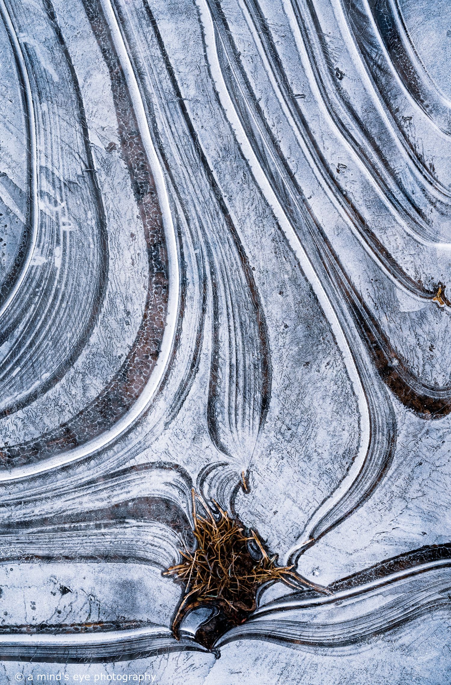 colour photo, frozen water, ice, trapped air, nature, abstract image, graphical photograph, winter