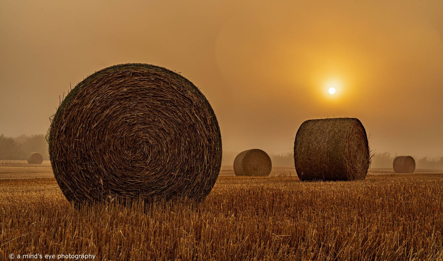 morning, mist, sunrise, landscape, fog, colour photography, image, hay bales, harvest time, fall, field, sun,