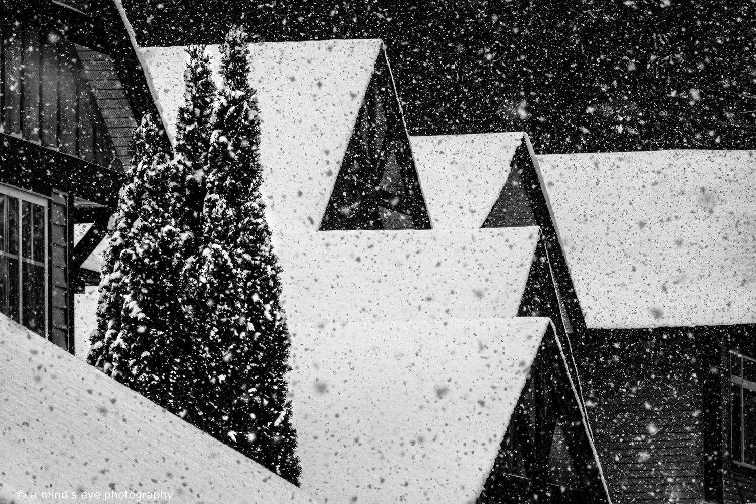 B&W architectural photo, building, graphical image,  eyes, pattern, light, shadows, texture, details, abstract, snow, winter, trees