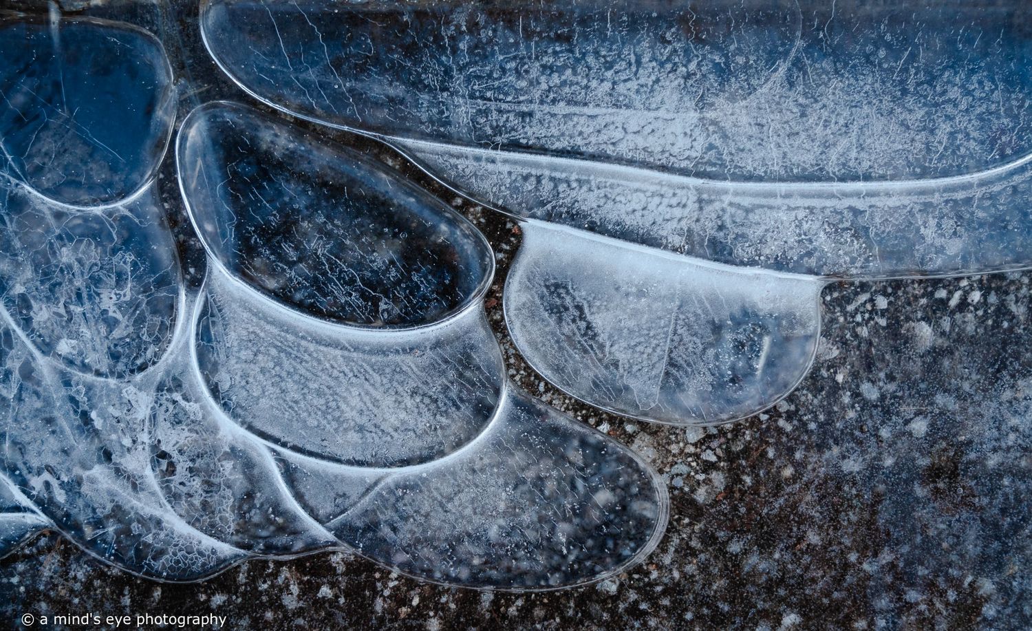 colour photo, frozen water, ice, trapped air, nature, abstract image, graphical photograph, winter