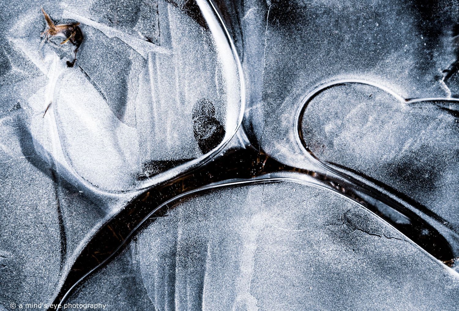 colour photo, frozen water, ice, trapped air, nature, abstract image, graphical photograph, winter