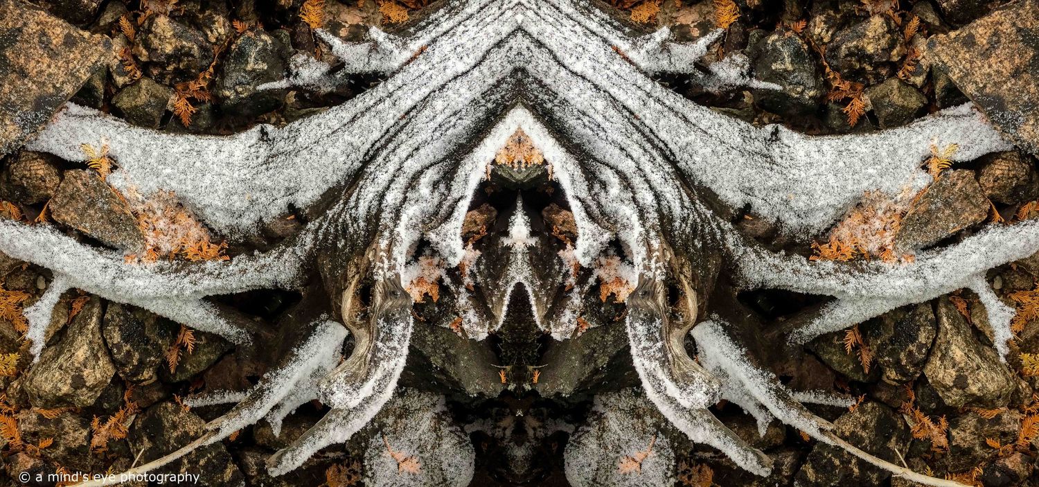 symmetry, symmetrical photo, landscape, composite photo, photoshop, face, abstract image, colour photography, graphical photo, shapes