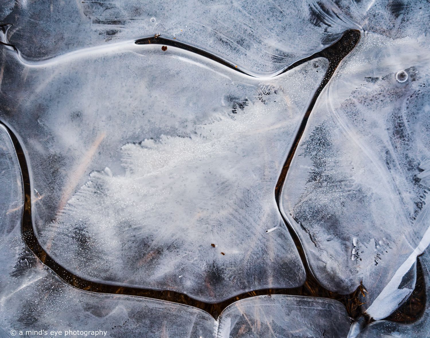 colour photo, frozen water, ice, trapped air, nature, abstract image, graphical photograph, winter