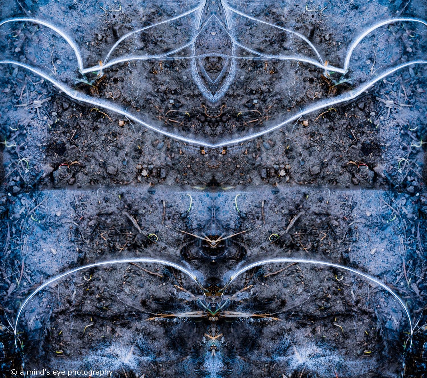 colour photo, frozen water, ice, trapped air, nature, abstract image, graphical photograph, winter