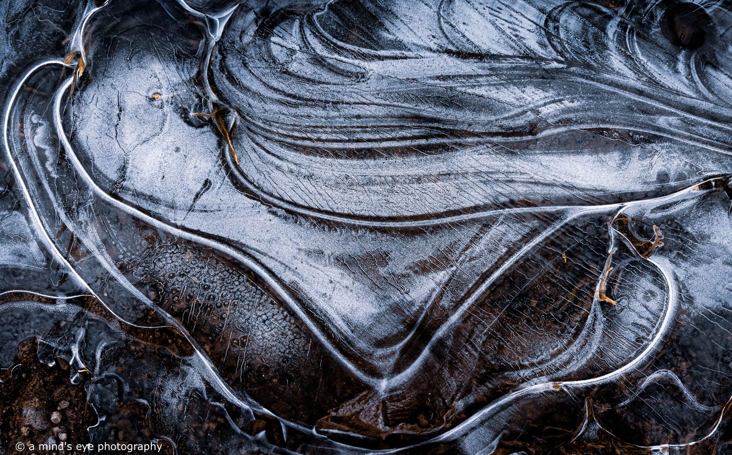 colour photo, frozen water, ice, trapped air, nature, abstract image, graphical photograph, winter