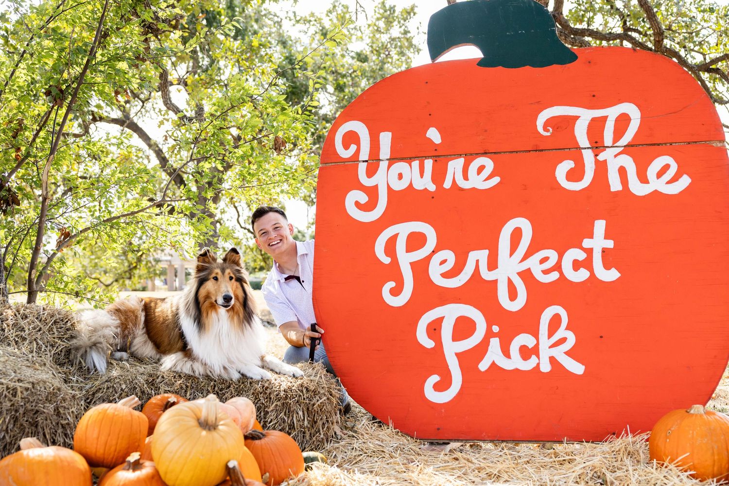 Reveille X at a pumpkin patch with her handler, Josh