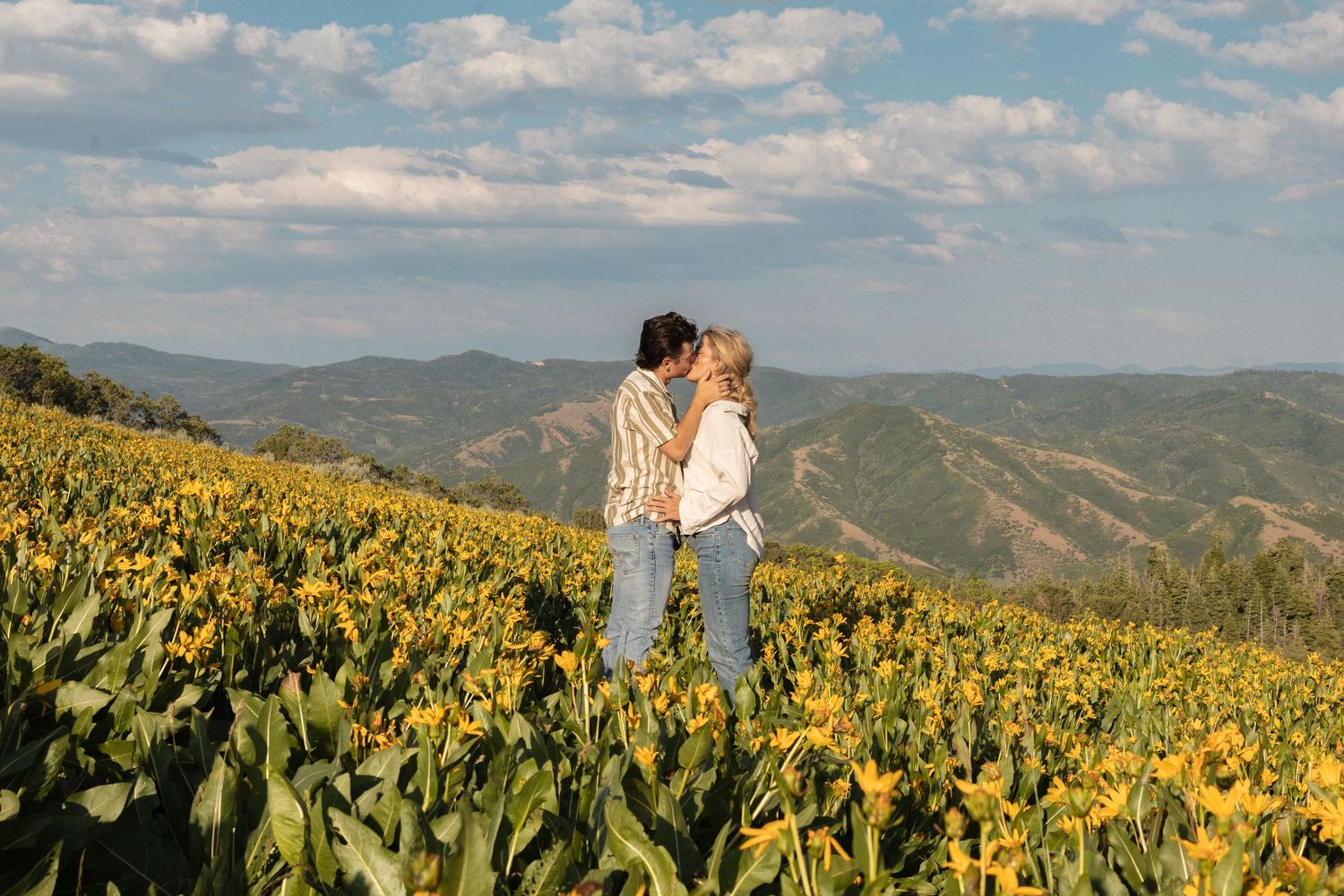 A couple kissing standing in a meadow of Utah wild flowers on the first day of summer.
