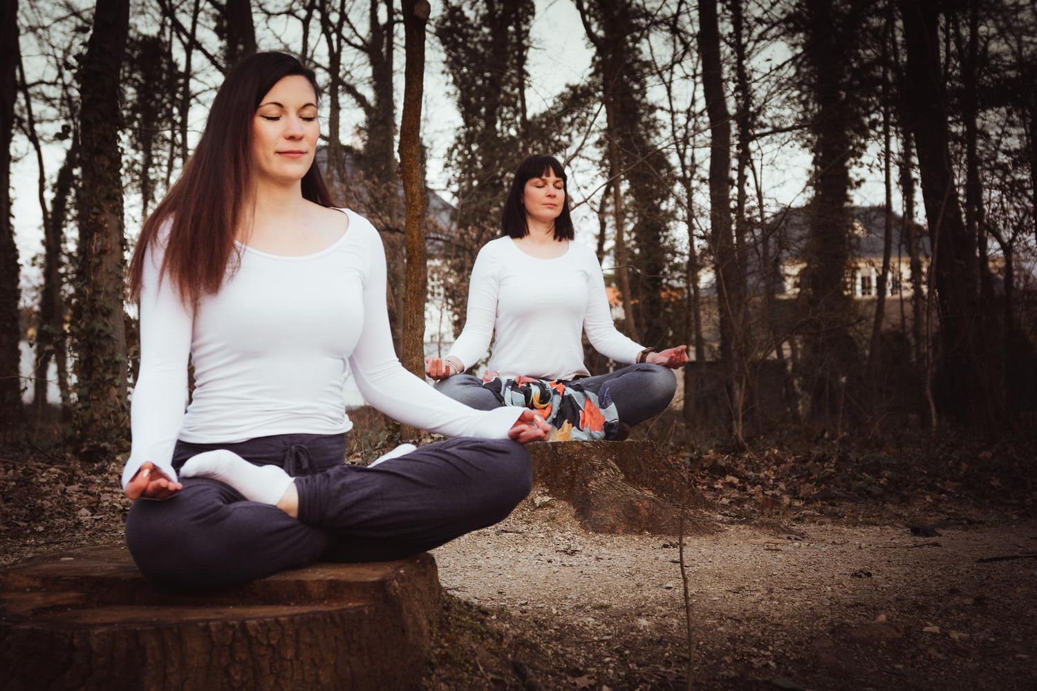 Two women meditating in lotus pose on tree stumps in a serene forest setting, wearing white tops.