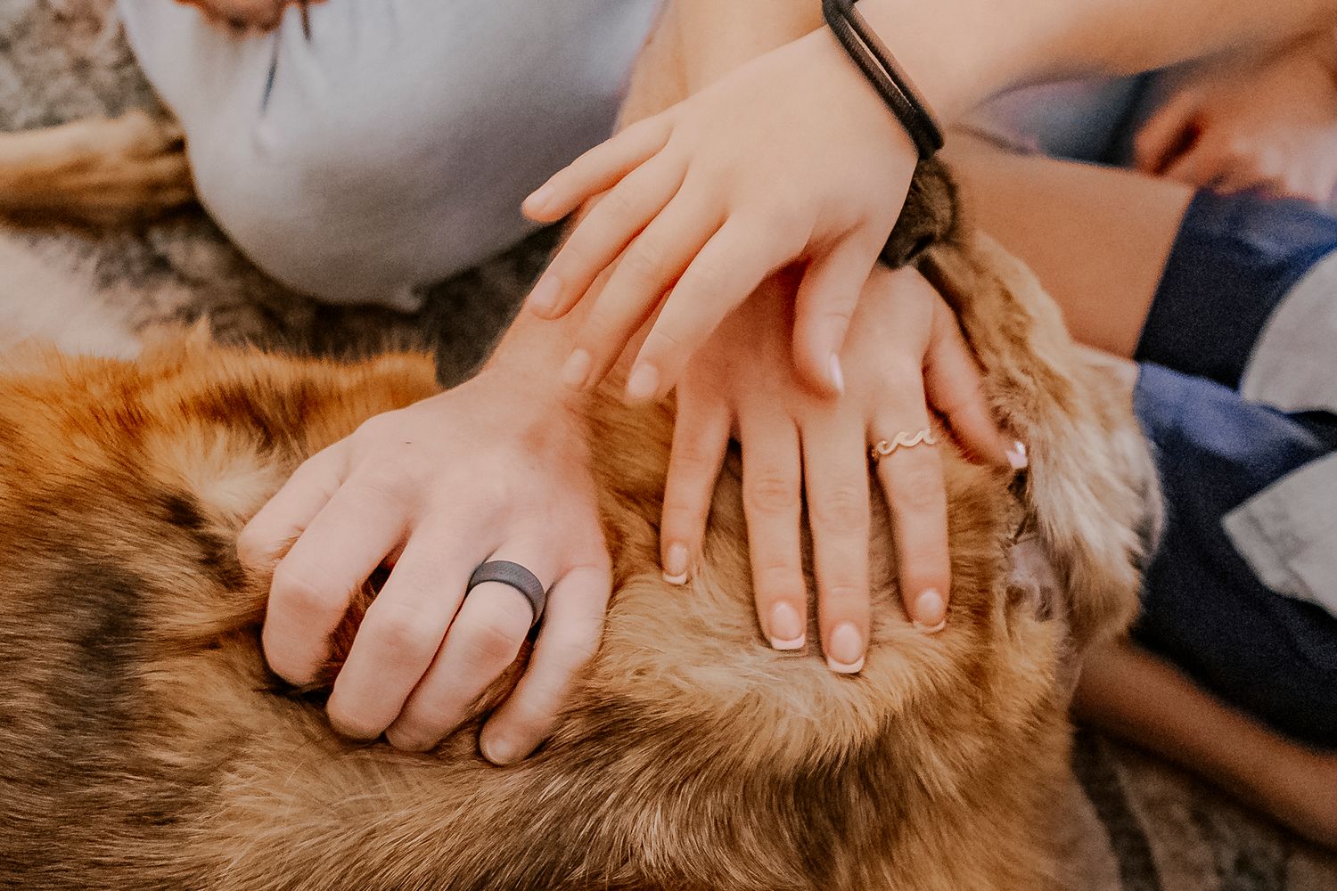 Two hands with rings resting on a golden retriever dog, showing a couple's matching wedding bands.