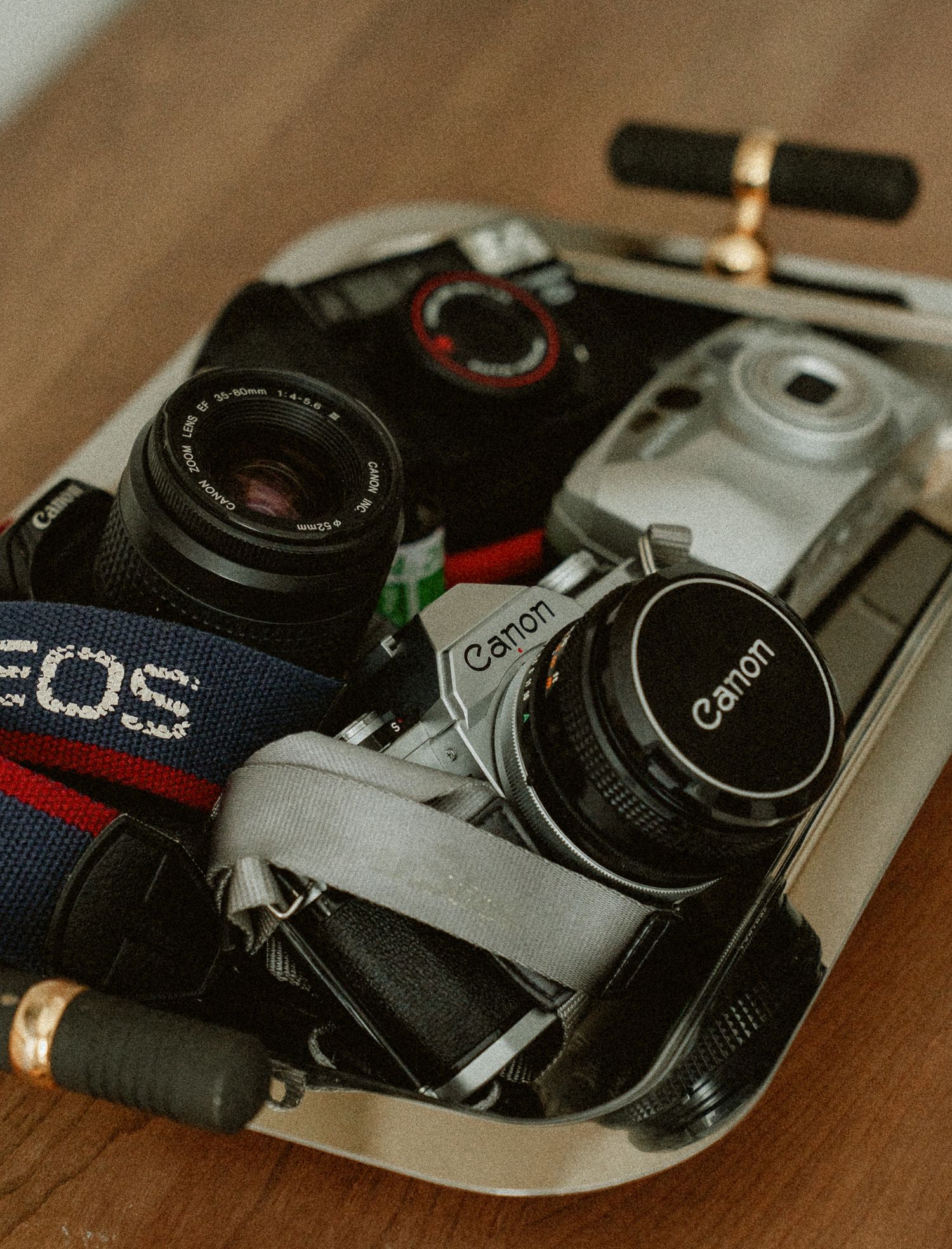 Offering Film Photography, Durham, West Grey, Ontario