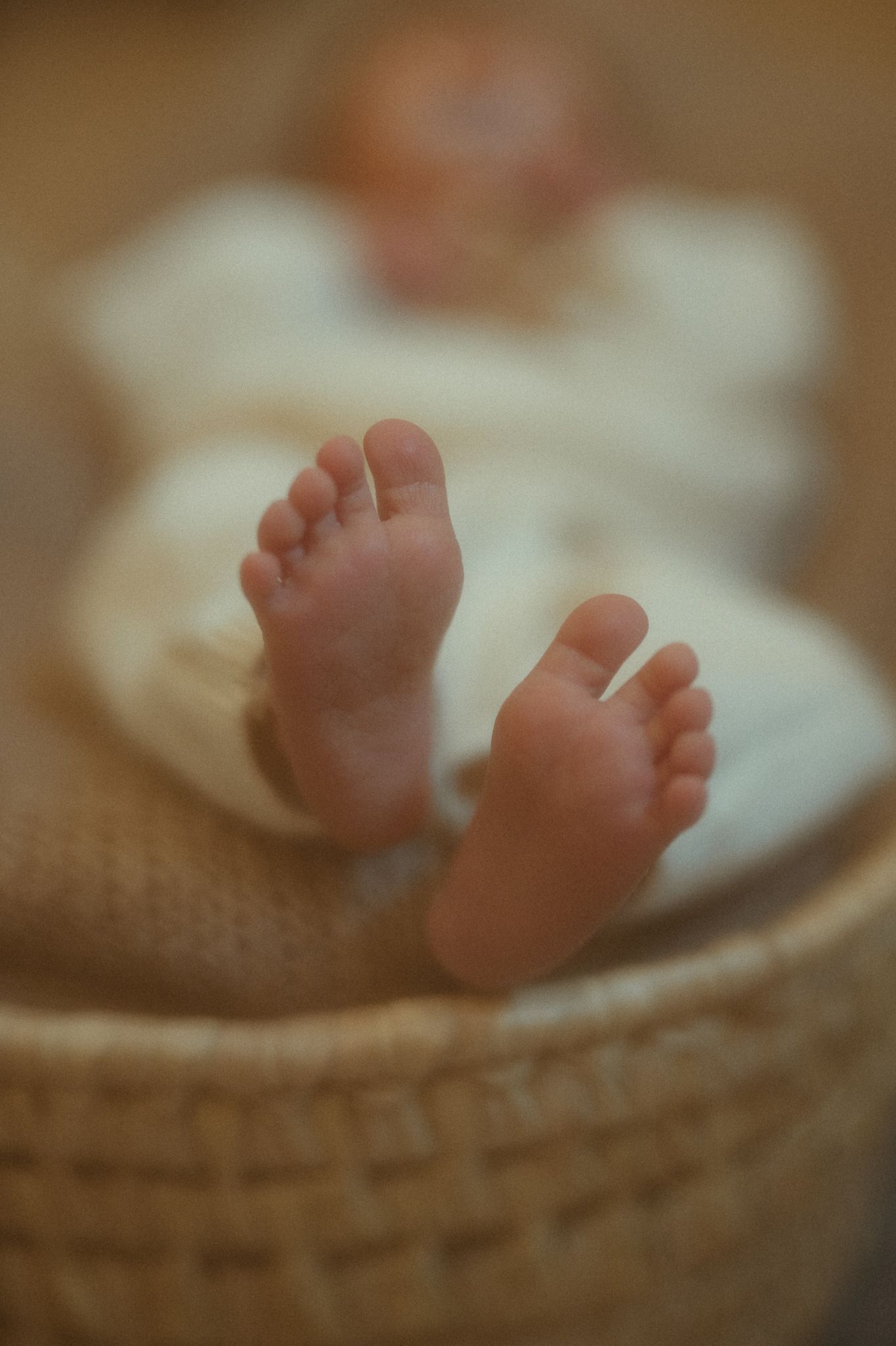 Newborn Lifestyle Photoraphy, Tara, Ontario
