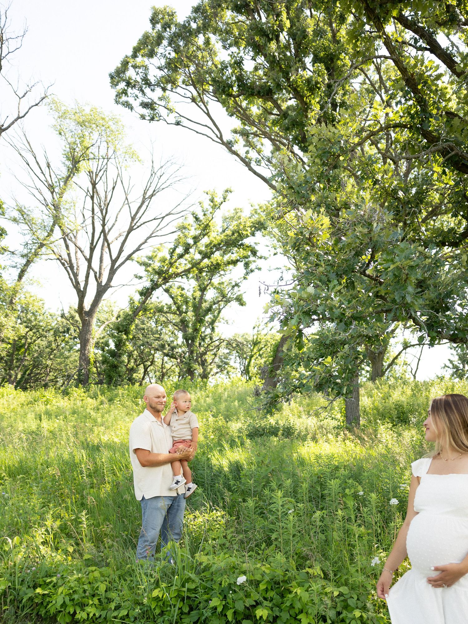 People gather in a sunlit meadow surrounded by tall trees and wildflowers on a bright summer day.