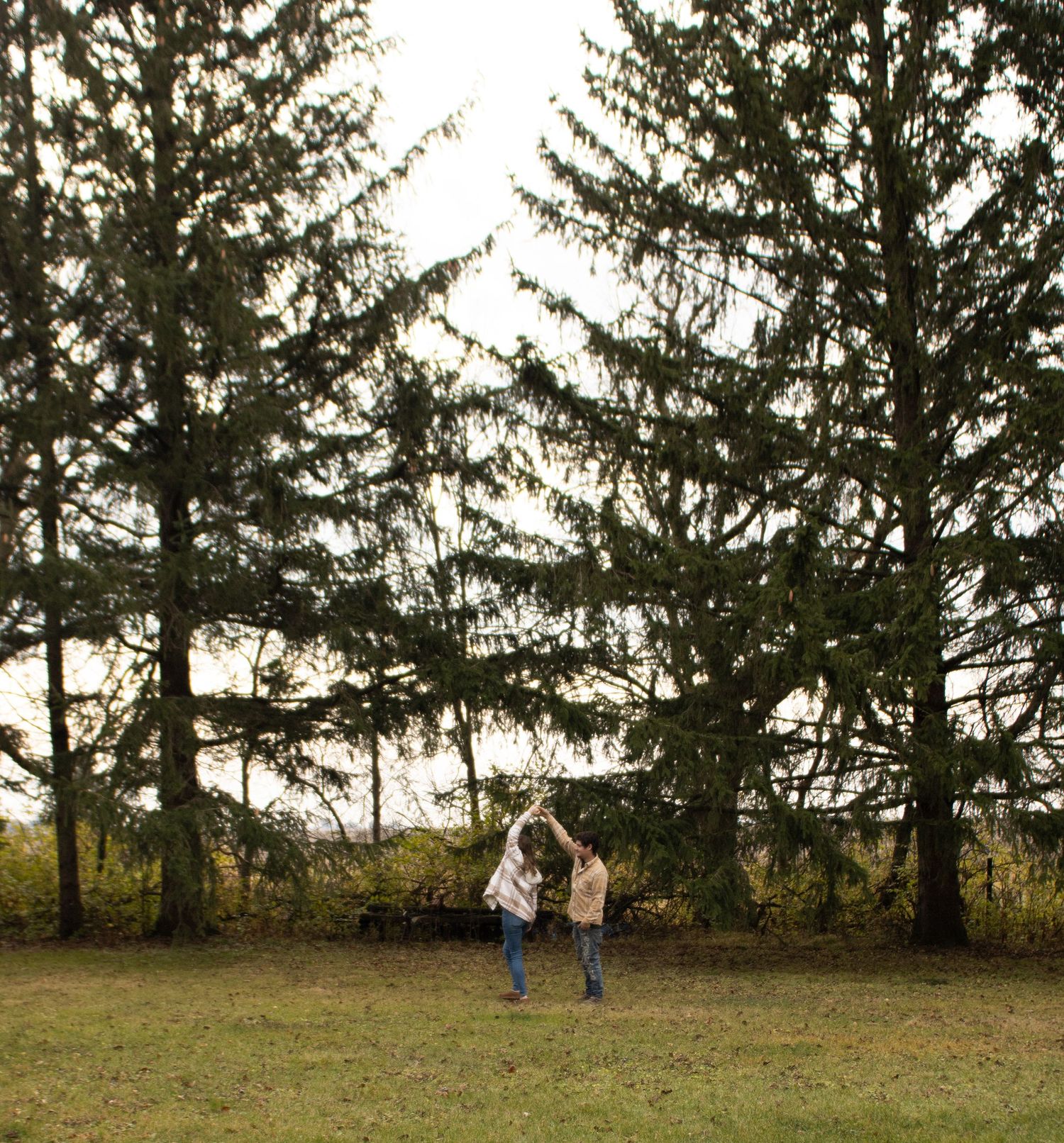 A couple lifts their baby up joyfully beneath towering evergreen trees in a park setting.