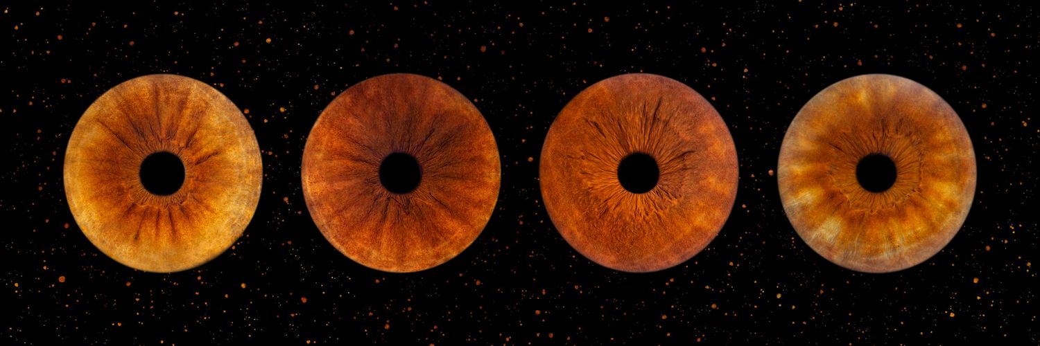 4 iris famille - Photographe d'iris humain et animalier dans le Sud de la France, dans l'Hérault, entre Béziers et Pézenas