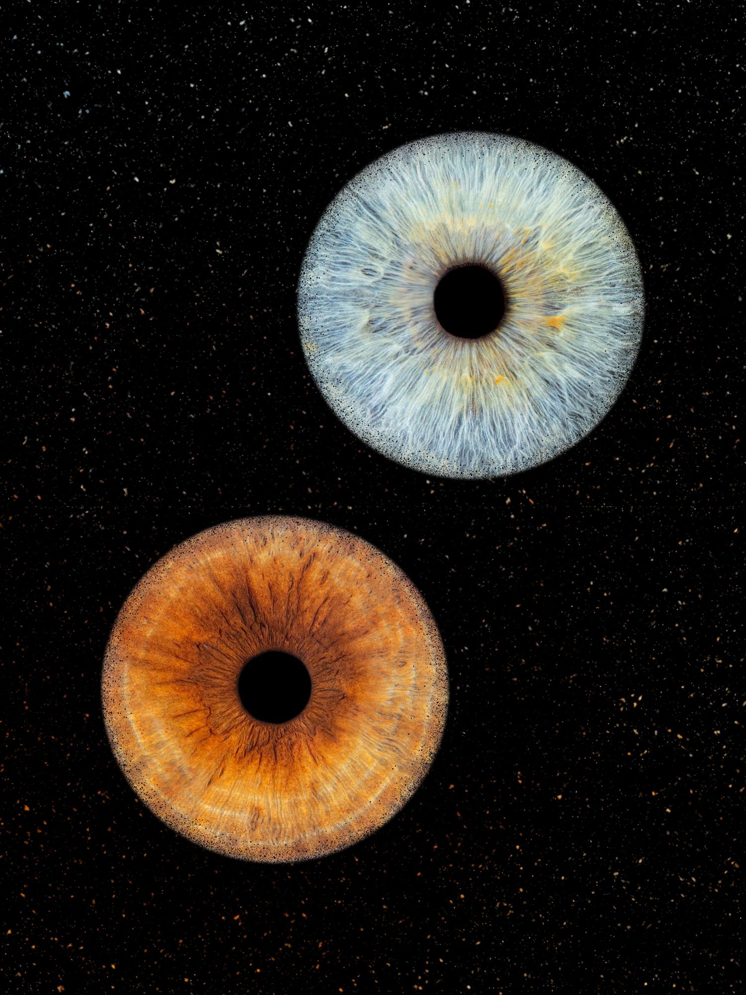 2 iris couple - Photographe d'iris humain et animalier dans le Sud de la France, dans l'Hérault, entre Béziers et Pézenas