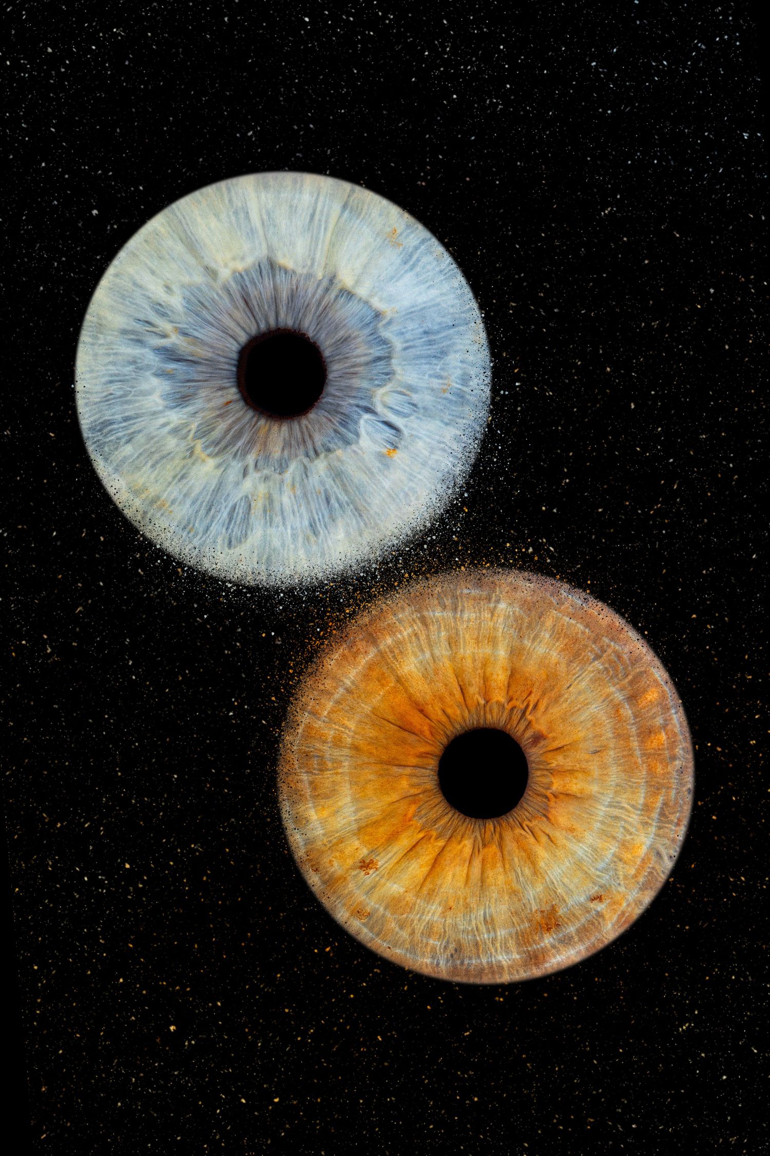 2 iris couple - Photographe d'iris humain et animalier dans le Sud de la France, dans l'Hérault, entre Béziers et Pézenas