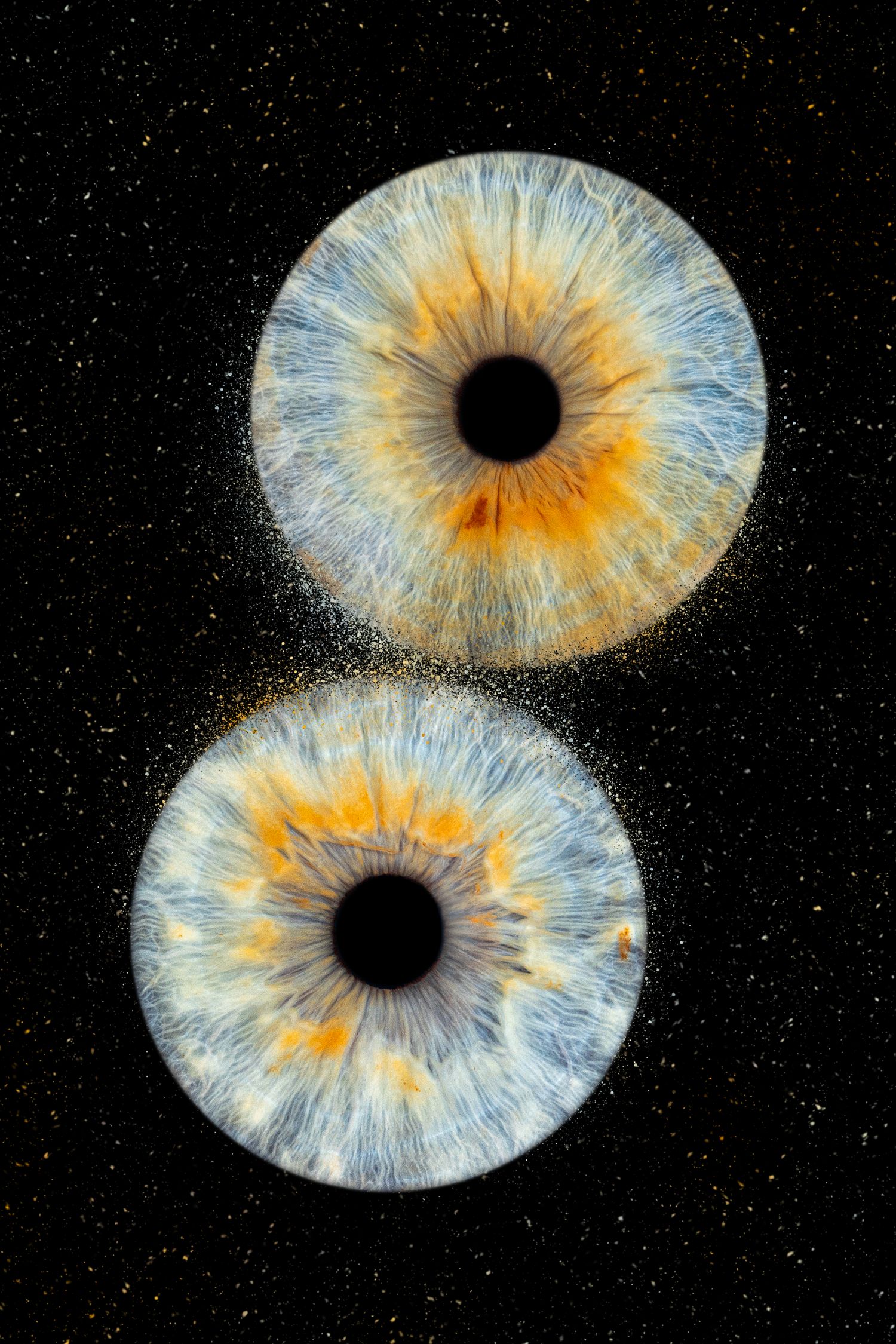 2 iris couple - Photographe d'iris humain et animalier dans le Sud de la France, dans l'Hérault, entre Béziers et Pézenas