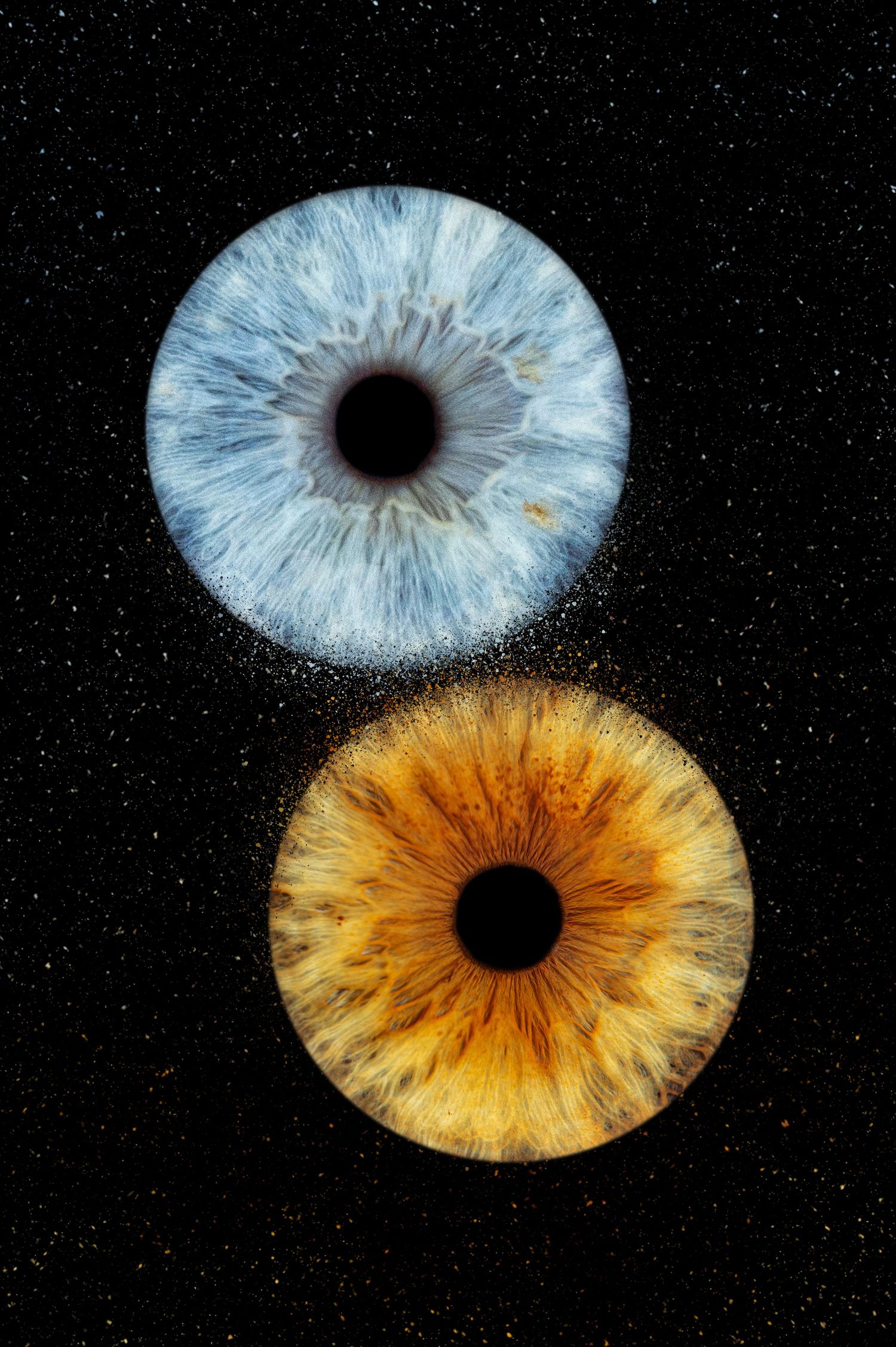 2 iris couple - Photographe d'iris humain et animalier dans le Sud de la France, dans l'Hérault, entre Béziers et Pézenas