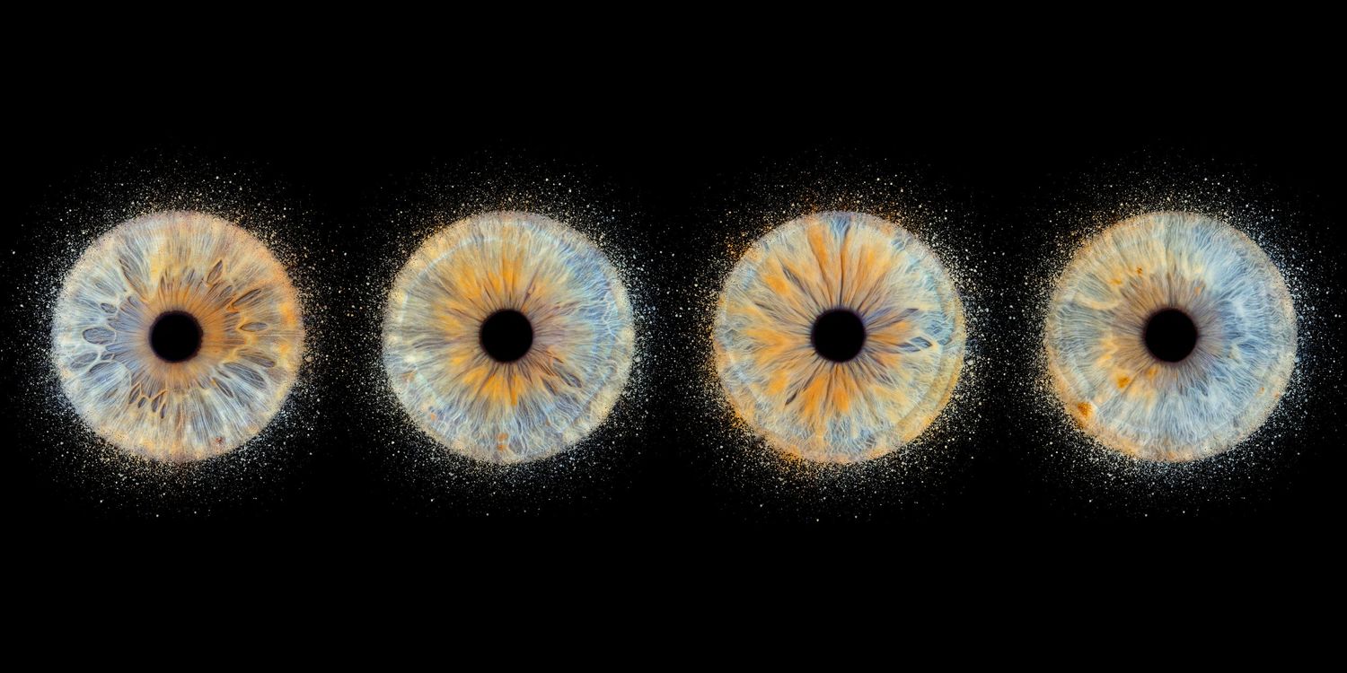 4 iris fratrie - Photographe d'iris humain et animalier dans le Sud de la France, dans l'Hérault, entre Béziers et Pézenas