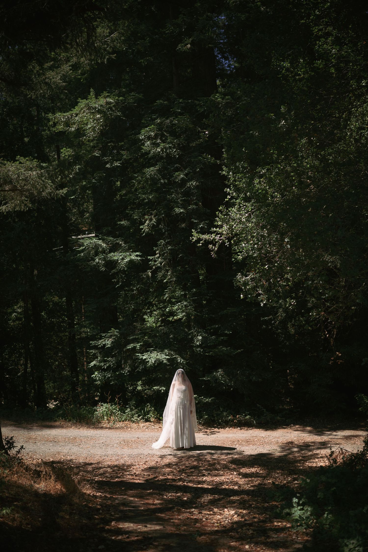 A sequence of photographs showing a white bridal figure emerging from dark forest shadows into dappled sunlight.