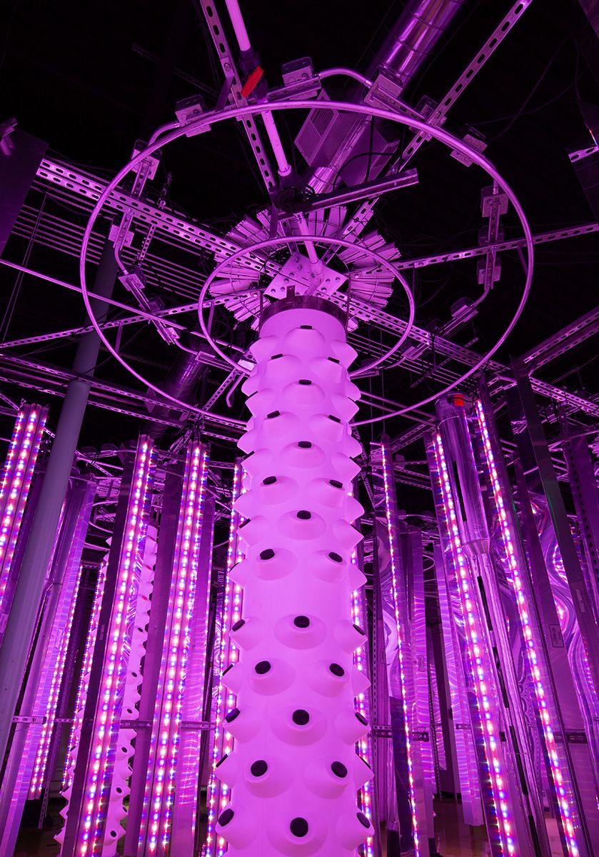 Leaf & Bud Detroit's State of the art grow towers.