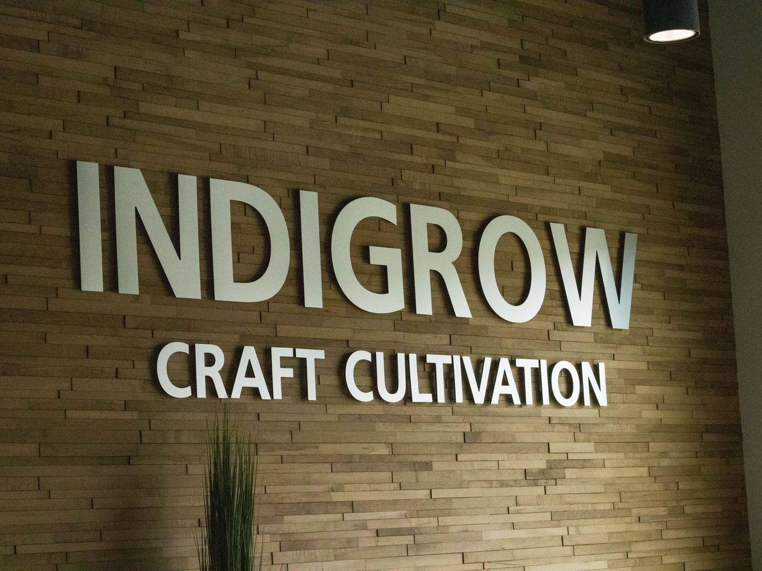 White Indigrow Craft Cultivation signage mounted on a modern wood-paneled wall with ambient lighting.