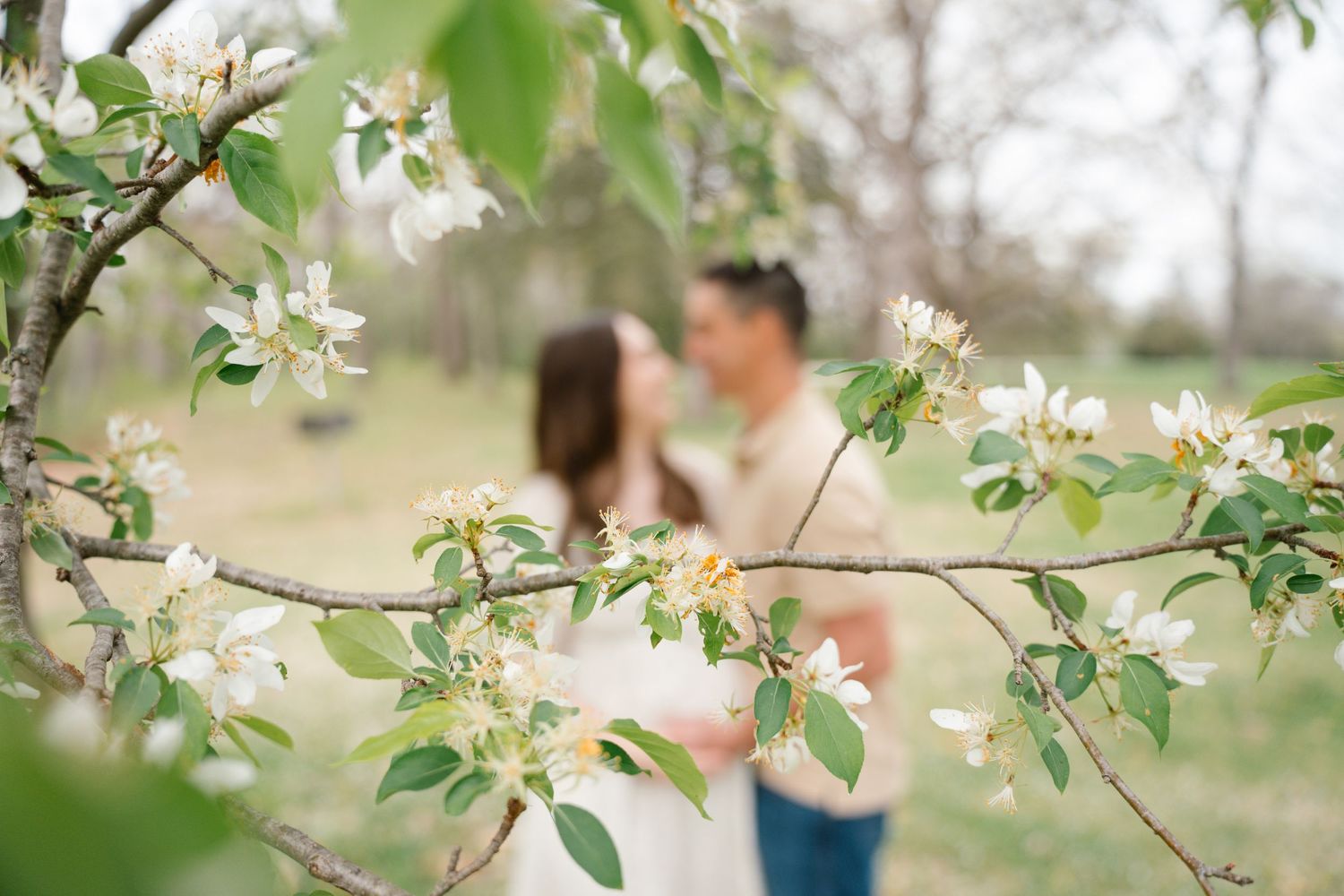 maternity photo