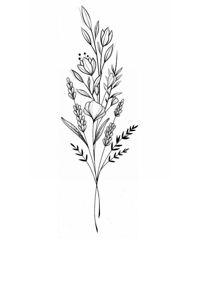 Delicate black line drawings of wildflowers and botanical elements arranged in a repeating pattern.