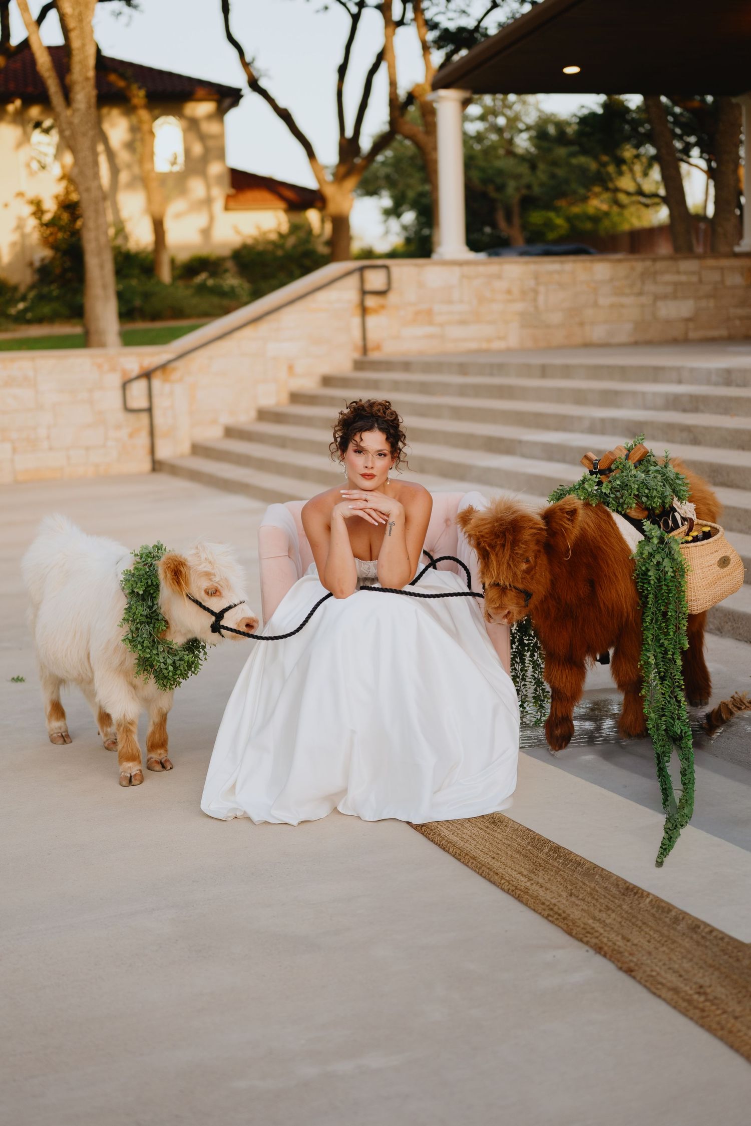 Bride in a white gown sits on stone steps holding leashes of two small cows adorned with leafy green garlands.