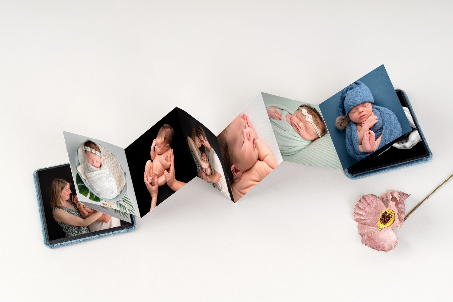 Fotoproducten, fotoalbums, fotoboeken, wanddecoratie, halle