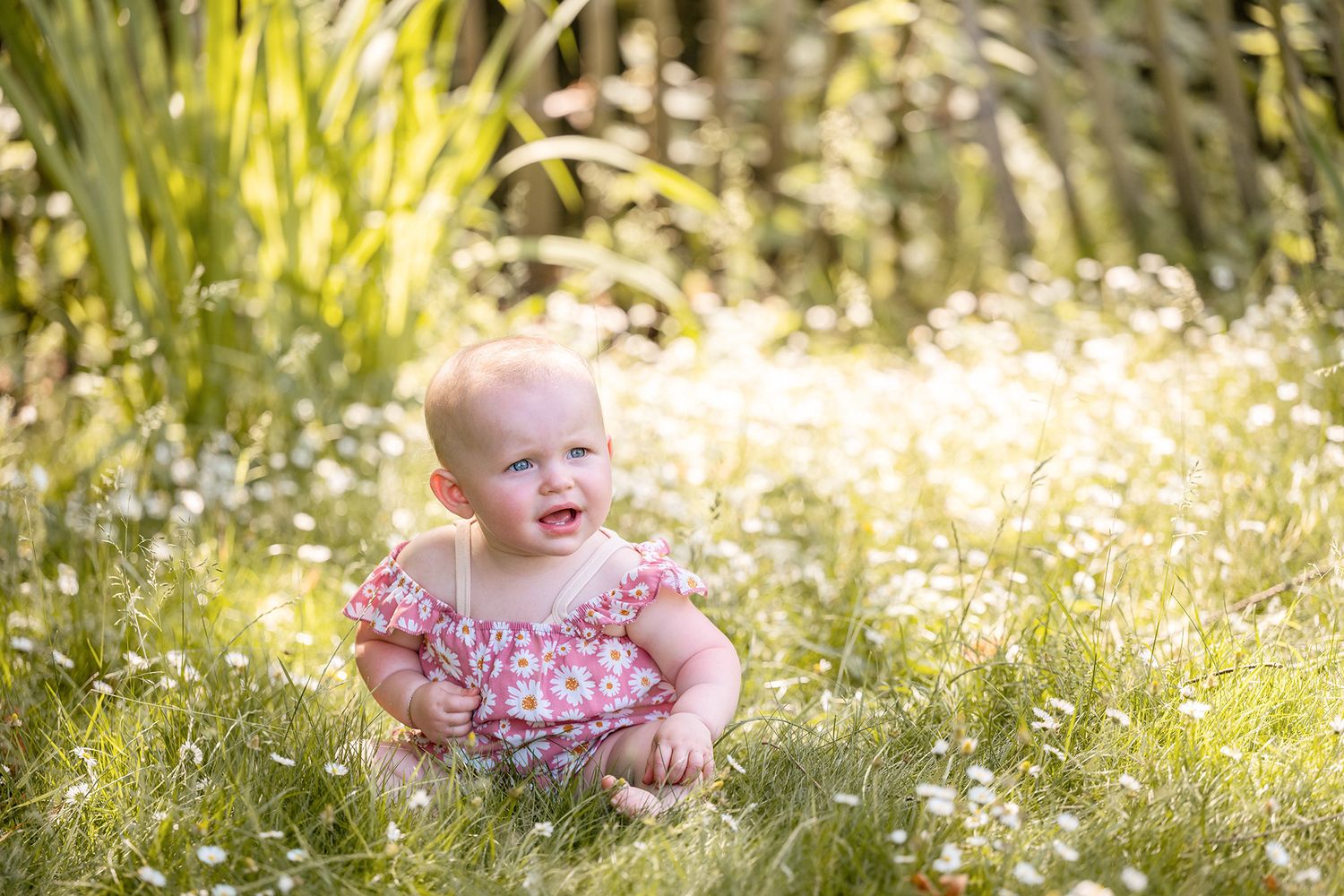 Familiefotoshoot in Halle (Vlaams-Brabant), in studio of op locatie. Koppelshoot, gezinsfotograaf, portretfotograaf