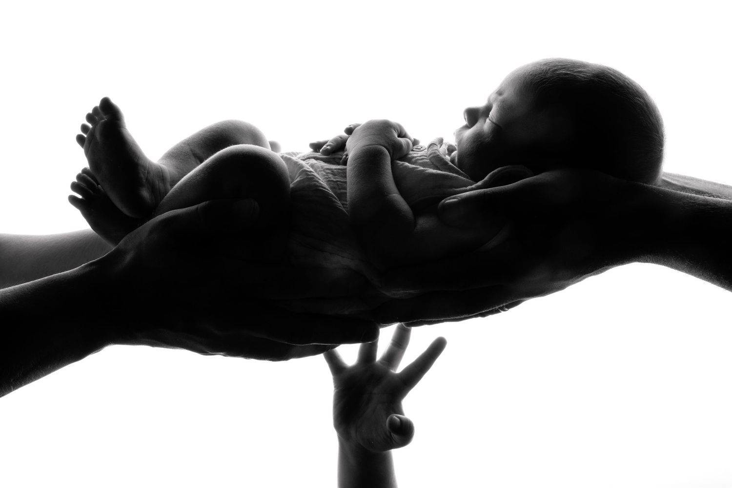Mobiele studio newbornfotograaf halle; newbornfotograaf aan huis