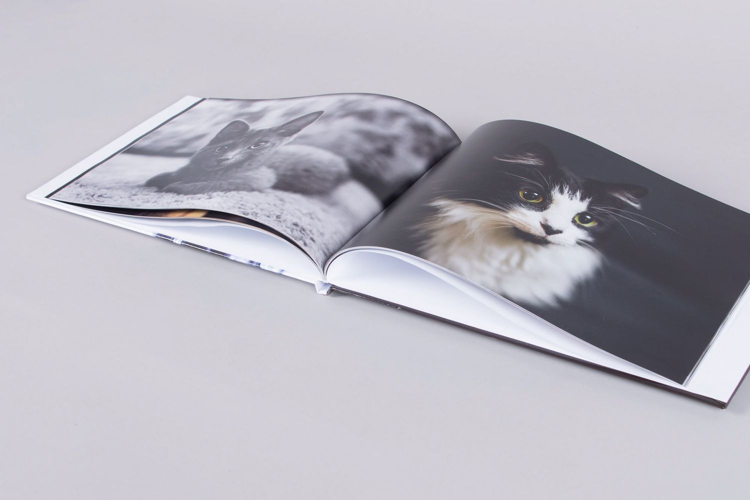 Fotoalbums, fotodoosjes, geschenkartikelen, fotoproducten, wanddecoratie, fotograaf Halle (Vlaams-Brabant)