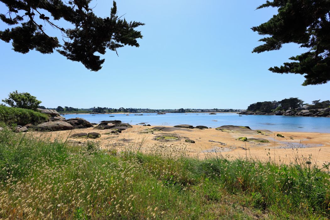 Superbe vue panoramique de la côte bretonne avec sable, rochers de granit et mer bleue, encadrée par des pins sous un ciel dégagé.