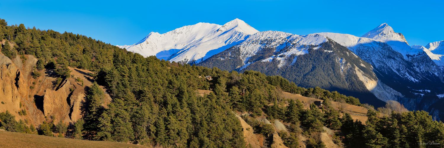 Photo panoramique de montagnes enneigées au second plan. Premier plan boisé de sapins sombres sur une pente rocheuse. Ciel bleu.